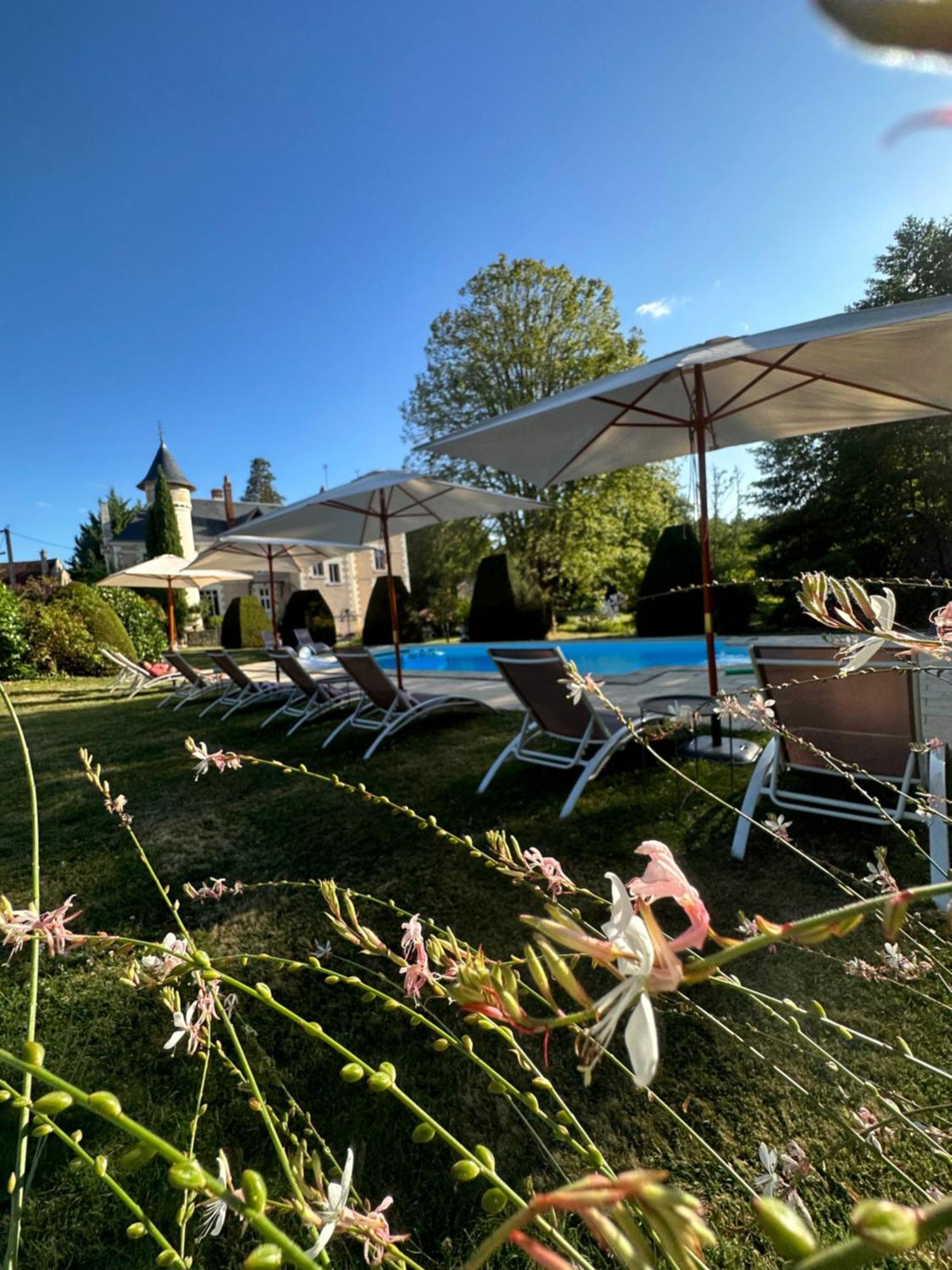 Le Moulin De Francueil Bed and Breakfast Eksteriør billede